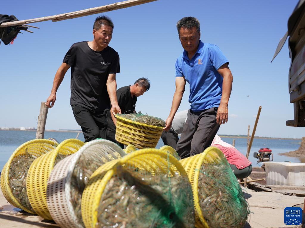 糖果派对总得点是啥意思